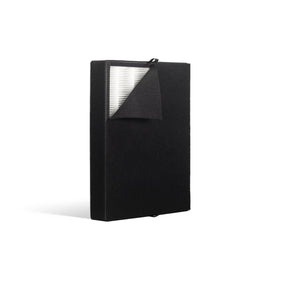 Alen BreatheSmart 45i True HEPA Fresh Filter: B4-Fresh / FL40-Silver-Carbon