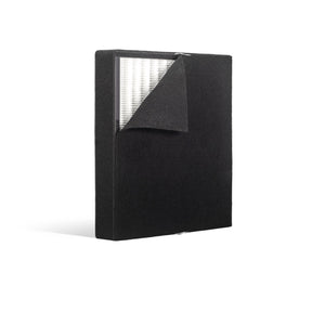 Alen Breathesmart Classic True HEPA-OdorCell Filter: BF35-MP
