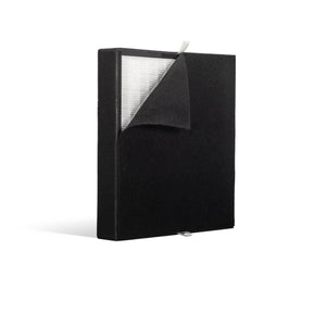 Alen Breathesmart Classic True HEPA-Silver Filter: BF35-Silver-Carbon