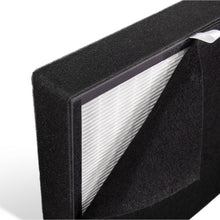 Load image into Gallery viewer, Alen Breathesmart Classic True HEPA-Pure Filter: BF35
