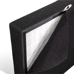 Alen Breathesmart Classic True HEPA-Silver Filter: BF35-Silver-Carbon