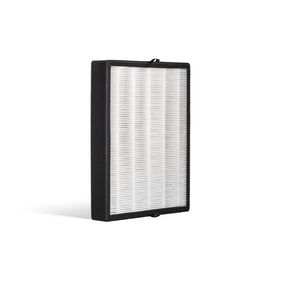 Alen BreatheSmart 45i True HEPA Fresh Filter: B4-Fresh / FL40-Silver-Carbon